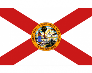 Florida title loans flag logo